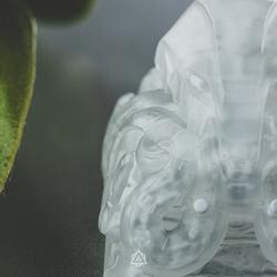 Archetype - Endokolk - X-Ray