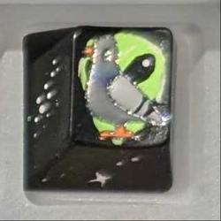 Level caps - Sky Rat - Birds are real