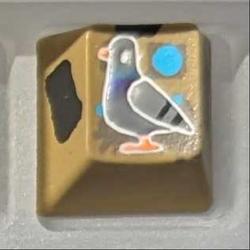 Level caps - Sky Rat - Bird in a Box