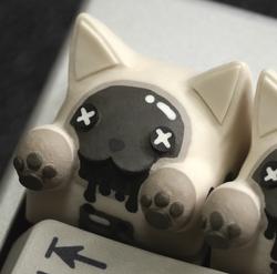 Hello Caps - Bongo Cat v2 - Final Frontier