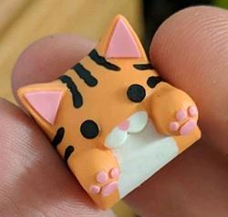 Hello Caps - Bongo Cat v2 - Tiger ( * )