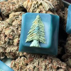 Wheat Keys - Pine Blank - Whead