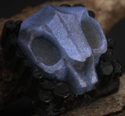 Nightcaps - Memento Mori - Final Twilight