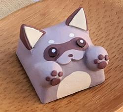 Hello Caps - Bongo Cat v2 - Tanuki