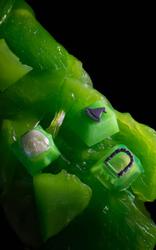 Black Mage Caps - Gateway - Apothecary Caps Collaboration - Radioactive