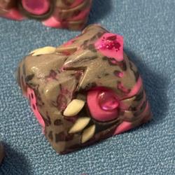 haoN - Carapace - Evolved