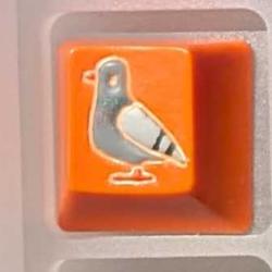 Level caps - Sky Rat - Plain Orange