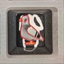 Level caps - Sky Rat - Scream