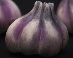Nightcaps - Lunar Allium - Purple Garlic