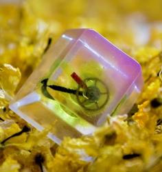 Level caps - Victory - Chronological