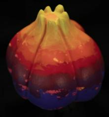 Nightcaps - Lunar Allium - Warm Air Balloon C