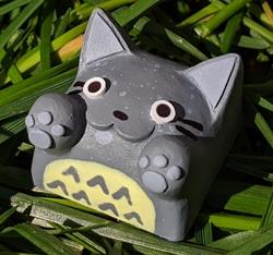 Hello Caps - Bongo Cat v2 - My neighbor