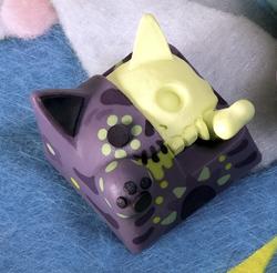 Hello Caps - Schrodinger - VII