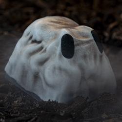 Archetype - Kolkrabba varients - Boo Who