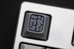Gray Matter