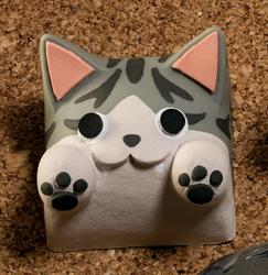 Hello Caps - Bongo Cat v2 - FishEye