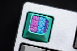 Alpha Keycaps - Kerebro - Brainfused