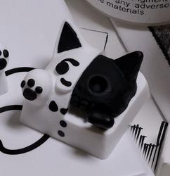Hello Caps - Schrodinger - Tux V2