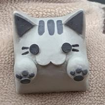 Hello Caps - Bongo Cat v2 - Pusheen