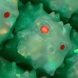 Nightcaps - Fugu Gen3 - Mistletoe