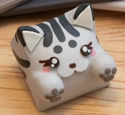 Hello Caps - Bongo Cat v2 - Peacekeeper