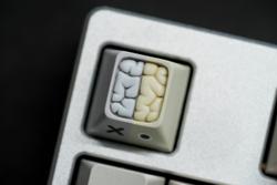 Alpha Keycaps - Kerebro - Compatriot