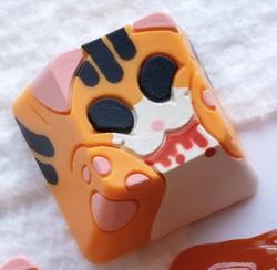 Hello Caps - Bongo Splat v2 - Tiger (Feral)