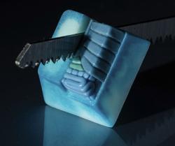 Hello Caps - Anatomy - Cryoboutit