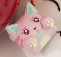 Hello Caps - Bongo Cat v2 - Birthday cake