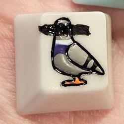 Level caps - Sky Rat - Birdacted