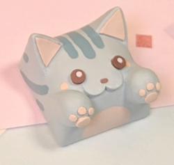 Hello Caps - Bongo Cat v2 - Lukewarm