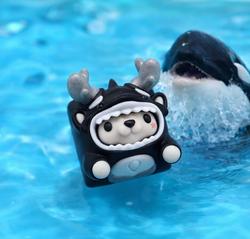 Orca