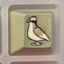 Level caps - Sky Rat - Pidgey