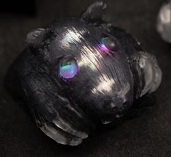 Nightcaps - Nutria - Fortune Teller