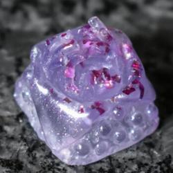 SodieCaps - Kin - Prisma Pop