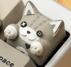 Hello Caps - Bongo Cat v2 - Scare Bear