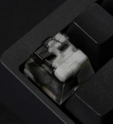Bro Caps - BroBot - BBV2 - Yin Yang