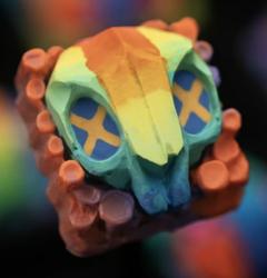 Nightcaps - Memento Mori - Sidewalk Chalk I