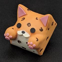 Hello Caps - Bongo Cat v2 - Leopard ( * )