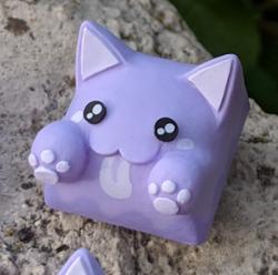 Hello Caps - Bongo Cat v2 - Porople