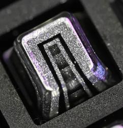 Mastonon.kaps - Lowrider Blanks