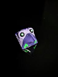Sonder Caps - Bird Brainz - Avian Necrosis