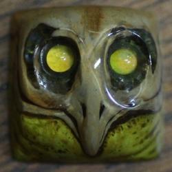 Ritual Master - Bird Watcher - Plague (HP)