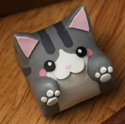 Hello Caps - Bongo Cat v2 - Tomcat