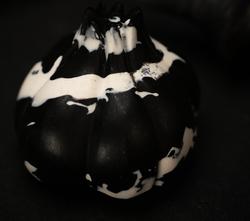 Nightcaps - Lunar Allium - Twisted Garlic