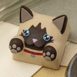 Hello Caps - Bongo Cat v2 - Sesame