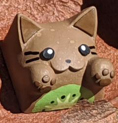 Hello Caps - Bongo Cat v2 - Kiwi