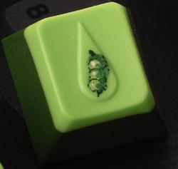 Nightcaps - Moondrop - Canadian Soybean