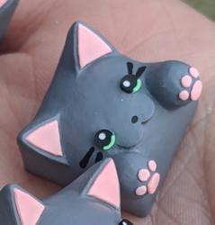 Hello Caps - Bongo Cat v2 - Git