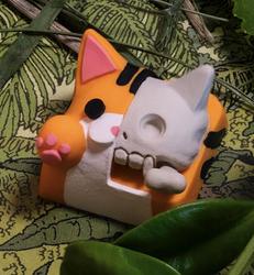 Hello Caps - Schrodinger - Le Tigre